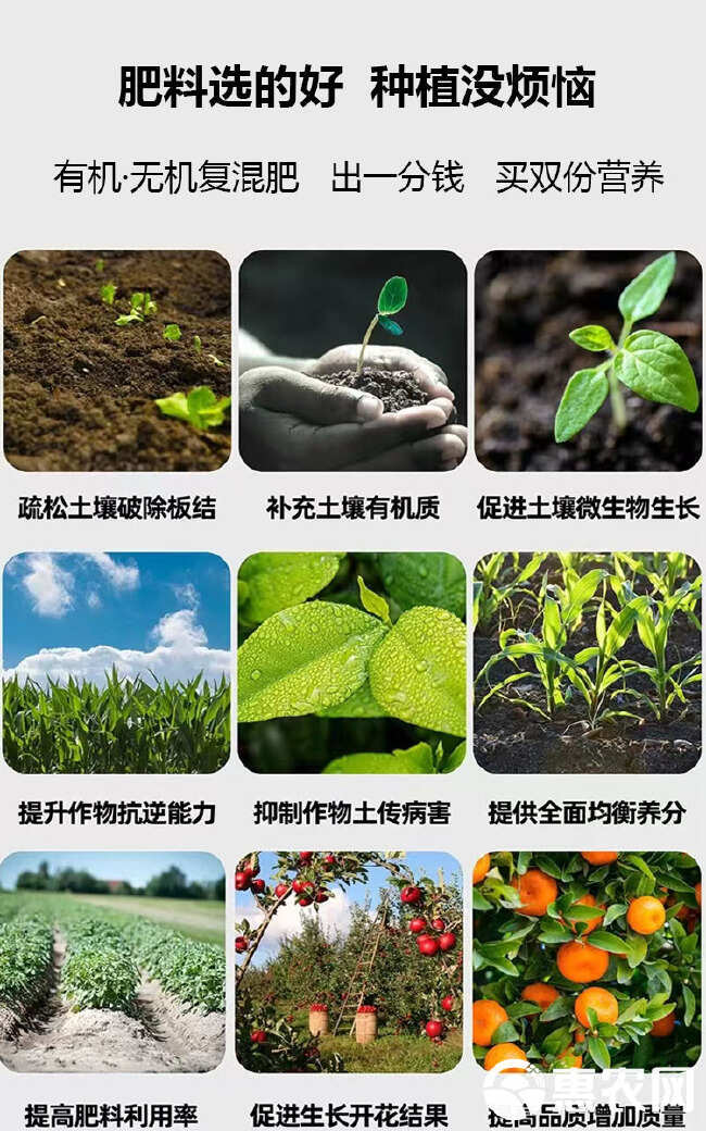 豆粕海藻生物菌肥