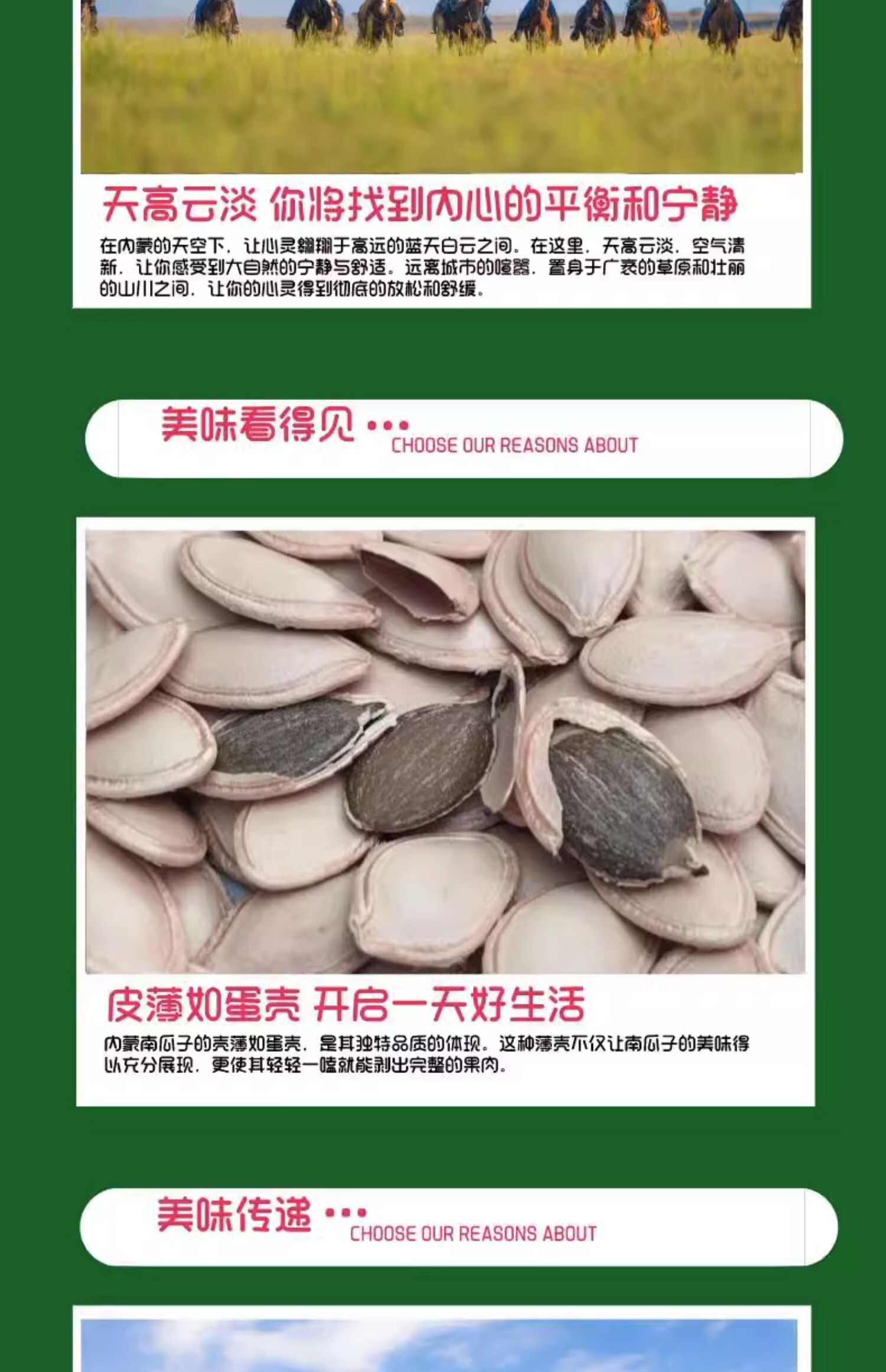 生南瓜子新货500g小包装生南瓜籽大片原味纸皮大粒内蒙南瓜子