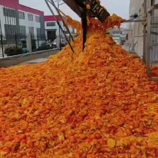  糟渣类饲料