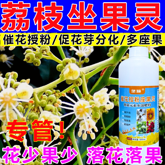 栾川县荔枝专用肥荔枝催花授粉坐果灵保花保果座果素控旺提质增产营养液