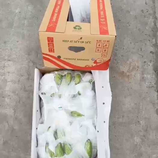 上海常年供应精品二级蕉，价格便宜