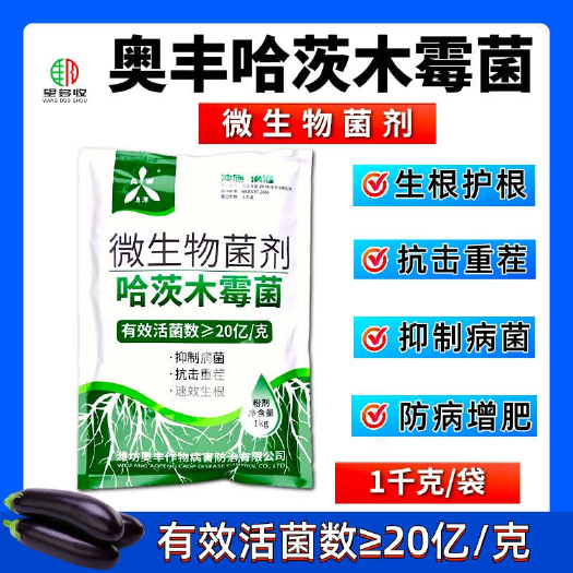 潍坊哈茨木霉菌1000克生根防病微生物菌剂