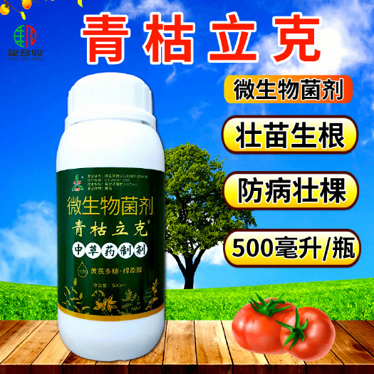 潍坊微生物菌剂 青枯立克番茄青枯病圣女果溃疡病魔芋软腐病