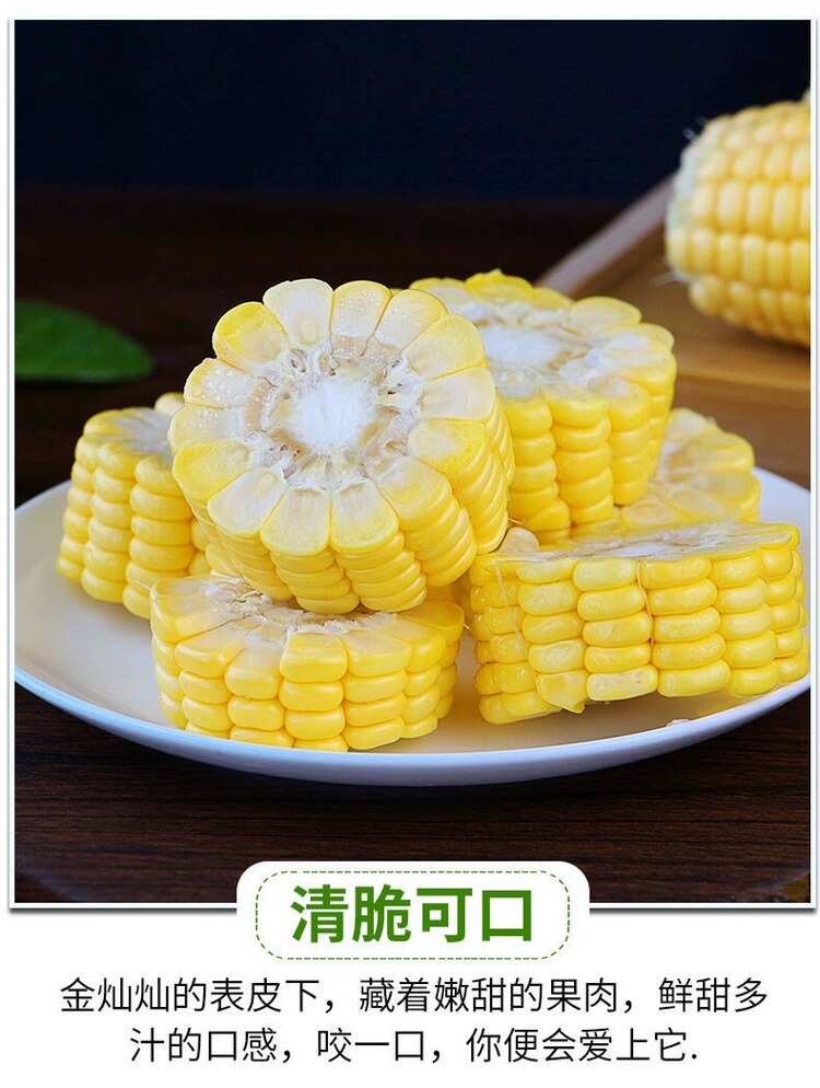 【水果玉米】现摘现发产地直发支持各大平台一件代发