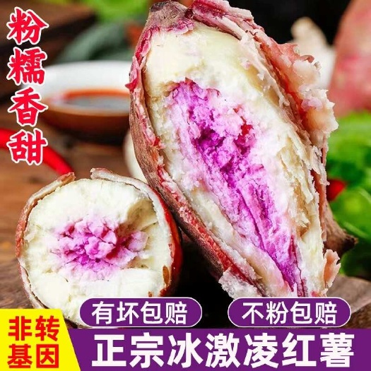 【一点红冰淇淋红薯】现摘现发产地直发支持各大平台一件代发