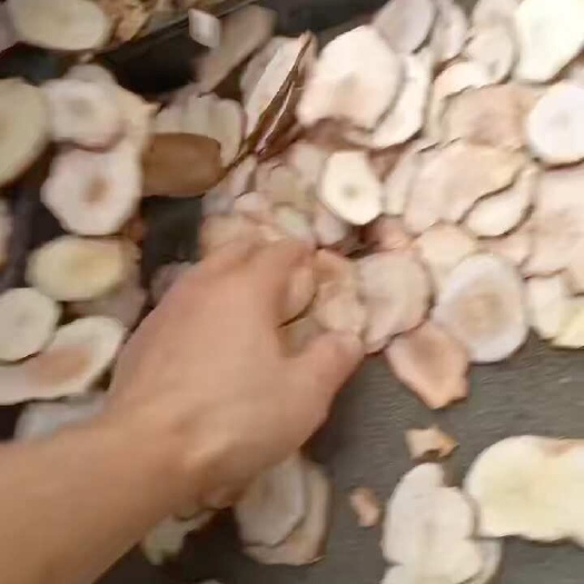 玉林过全检粉质白肉土茯苓