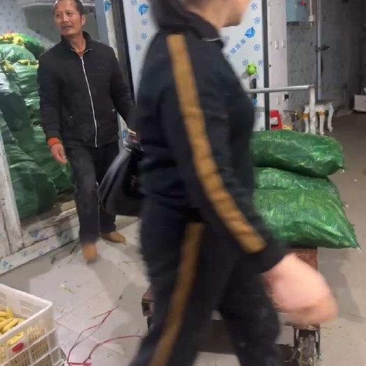 漳州玉米笋
