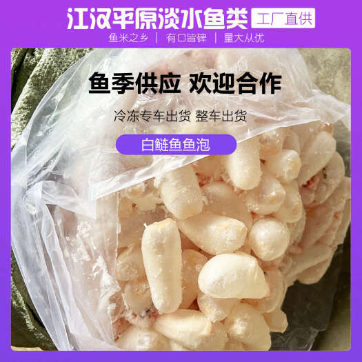 鲜鱼泡/鲜鱼鳔/鱼胶/鲢鱼泡/鲤鱼泡/鱼肚/鱼籽 工厂直销5