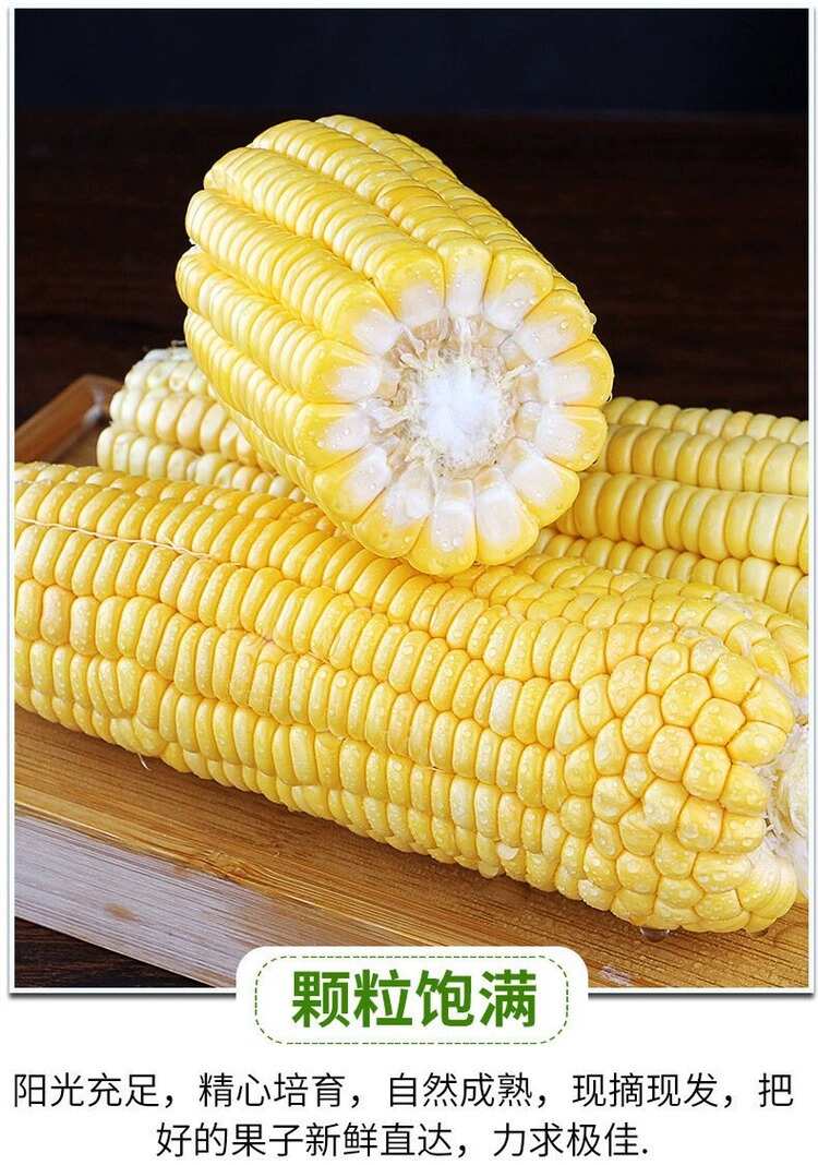 【水果玉米】现摘现发产地直发支持各大平台一件代发
