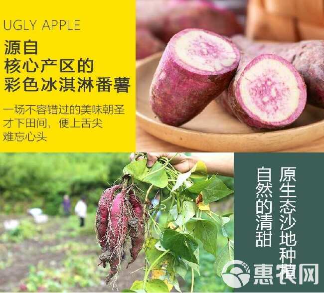 【一点红冰淇淋红薯】现摘现发产地直发支持各大平台一件代发