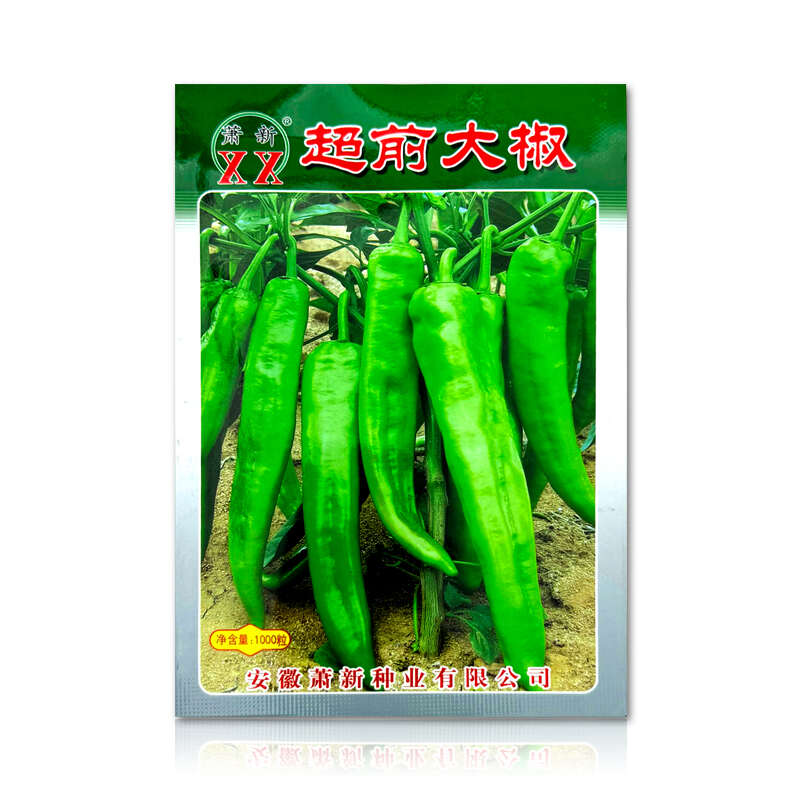 萧新超前大椒早熟辣椒种子青椒牛角椒