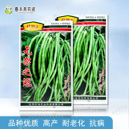 祥贺丰无架之冠高产早熟增产百分之三十粒大条粗