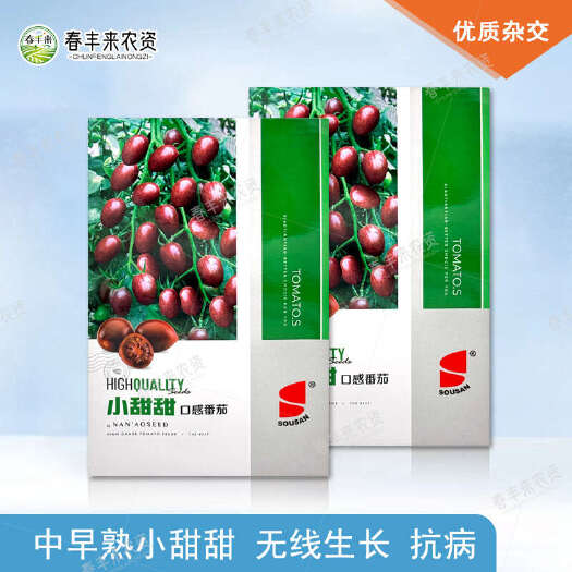 紫红色小甜甜口感番茄种子糖水爆汁西红柿种小番茄