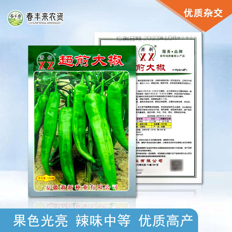 萧新超前大椒早熟辣椒种子青椒牛角椒