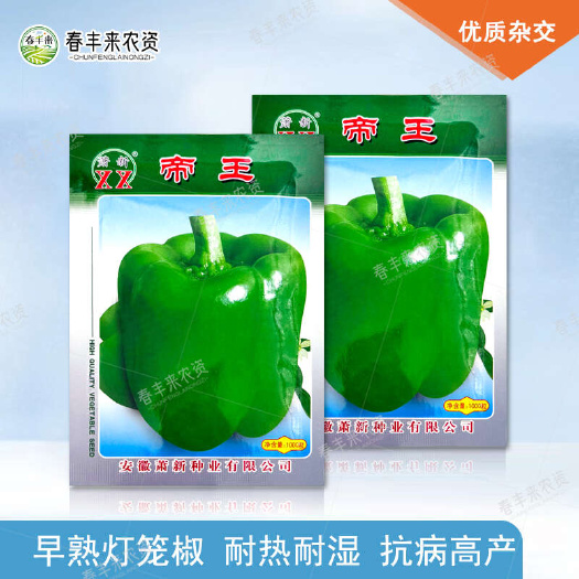 临沂萧新帝王辣椒种子菜椒籽甜椒大果高产抗病大棚易种植辣椒种籽孑
