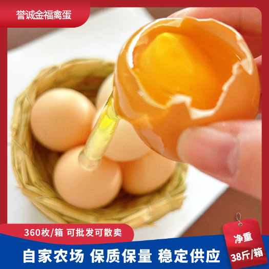 广州360枚粉壳土鸡蛋  自营农场  现捡现发 运输破损包赔
