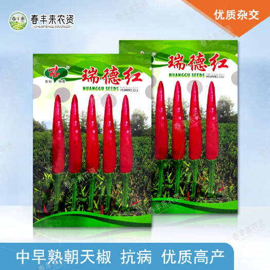 临沂皇姑种苗瑞德红中早熟朝天椒种子单身小羊角型口感好优质高产