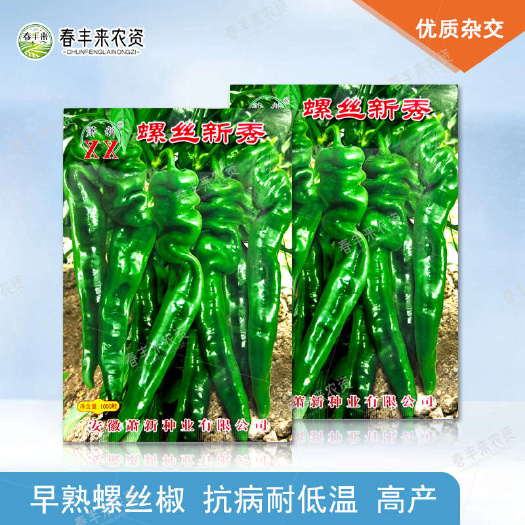 萧新螺丝新秀辣椒种子早熟连续结果能力强辣味浓香的辣椒种子