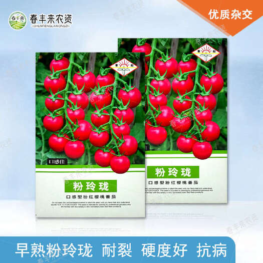 临沂秦阳粉玲珑口感型粉红樱桃番茄种子早熟抗病商品性好