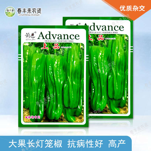 临沂前进上品早熟大果型长灯笼椒杂交薄皮辣椒种子基地专用