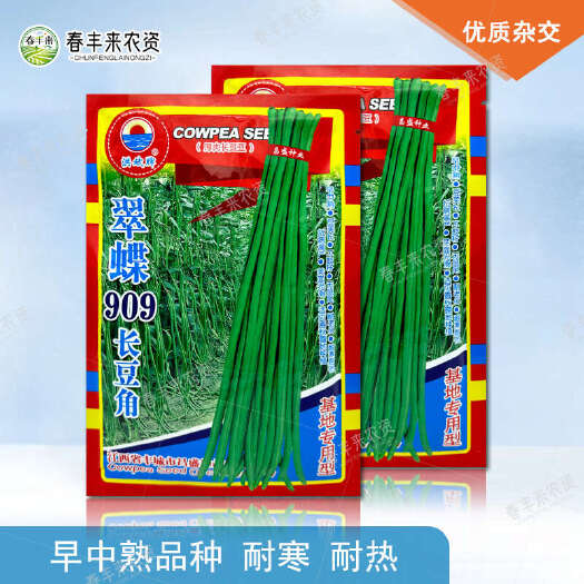 临沂洪斌牌翠蝶909长豆角早中熟豆荚长不鼓籽耐老化抗病高产