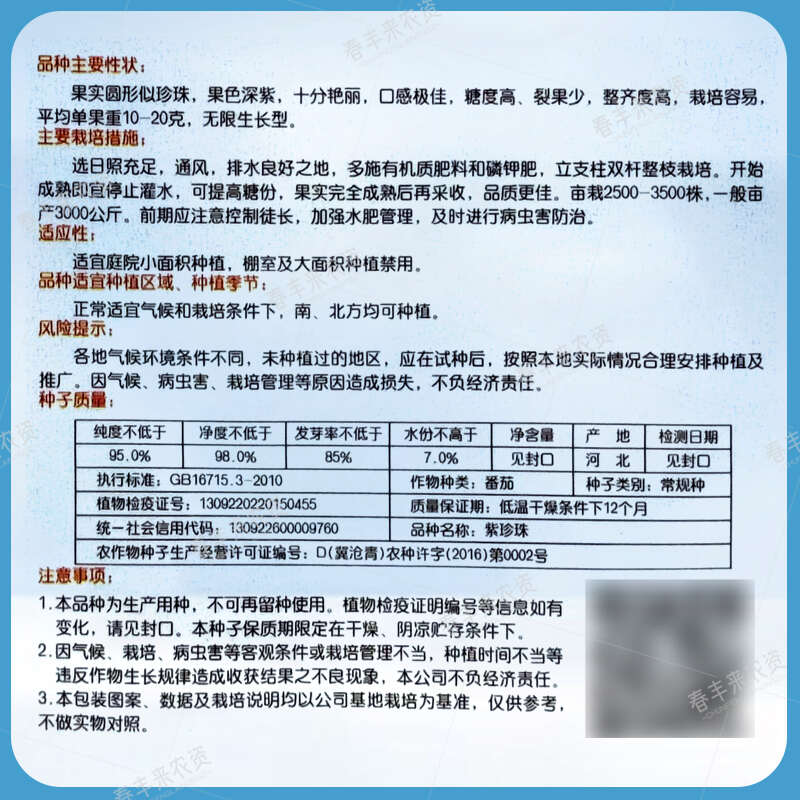 紫珠樱桃番茄种子四季阳台盆栽易种植紫宝石番茄水果型蔬菜种子