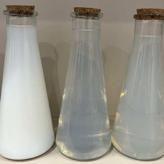 鹤山市纳米级硅溶胶水溶液应用于草莓绿叶化肥硅元素硅肥