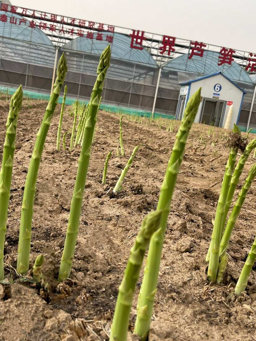 山東巨鑫源農(nóng)業(yè)科技有限公司