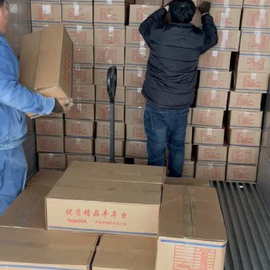 唐山小板丰年虫