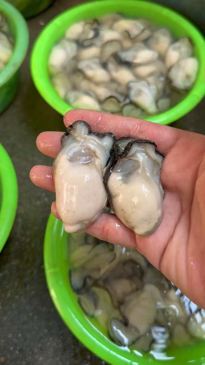 潮汕生蚝肉批发零售