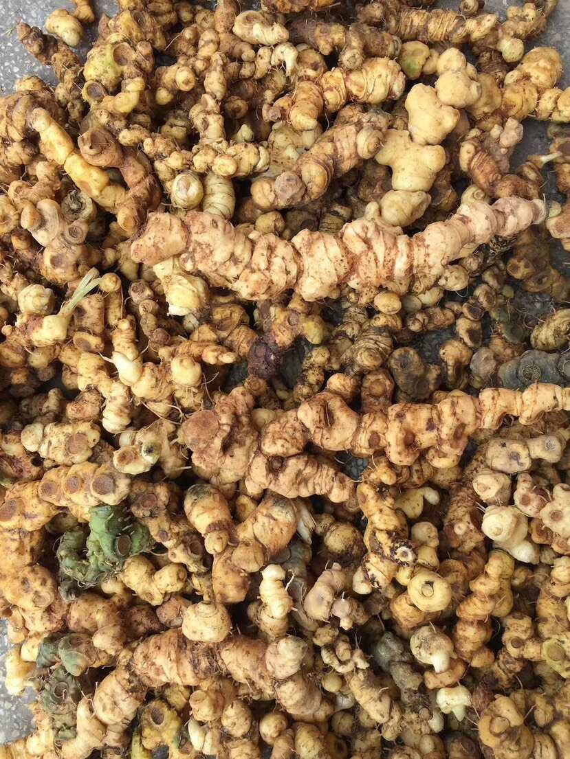 百科堂中藥材