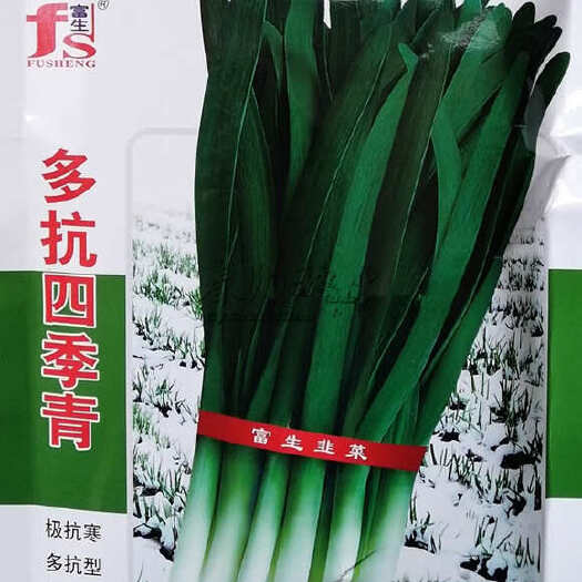 漯河富生韭菜种子，大田雪韭种子，耐寒不休眠，多抗型，基地专用
