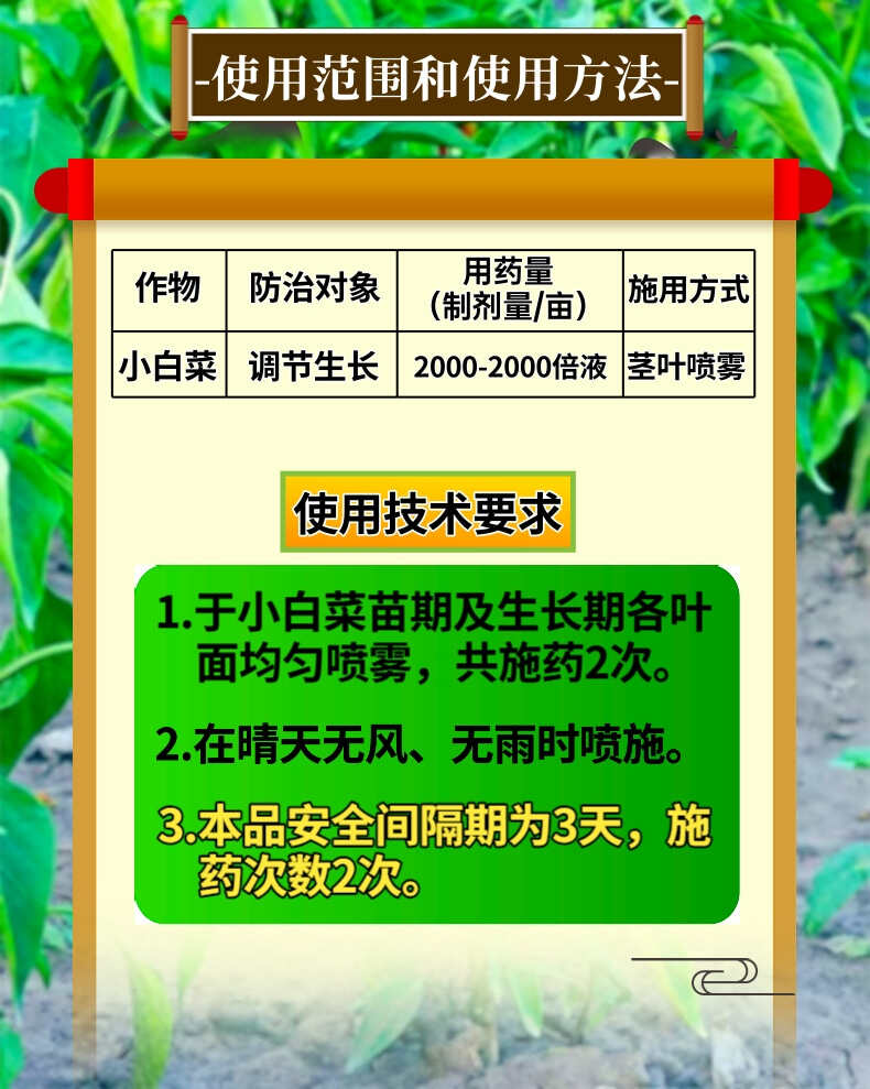 奥丰14羟基芸苔素 天然活性高吸收快调节生长促分裂