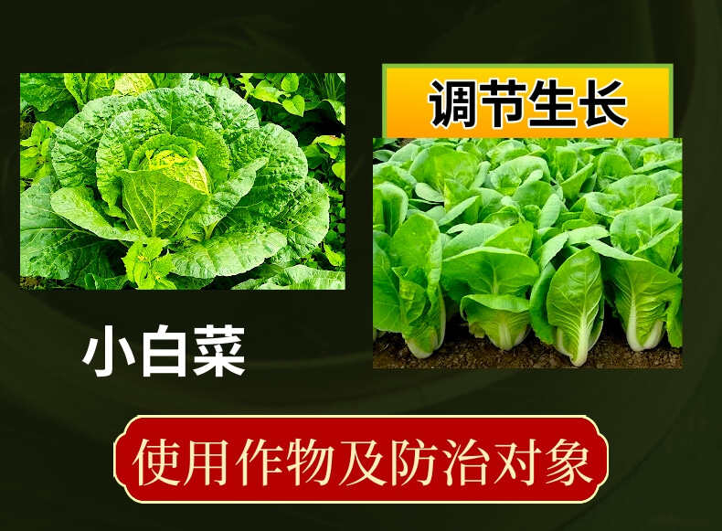 奥丰14羟基芸苔素 天然活性高吸收快调节生长促分裂