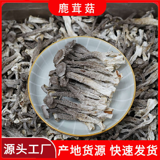 古田县【产地直销】精选鹿茸菇干货食用菌批发鹿茸菇干货批发酒店食材