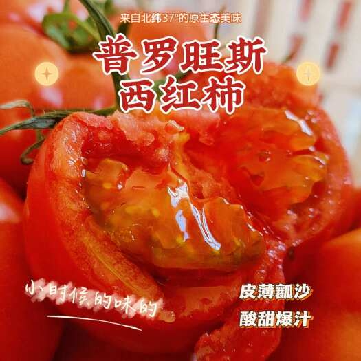 普罗旺斯西红柿生吃皮薄酸甜有机种植不打农药