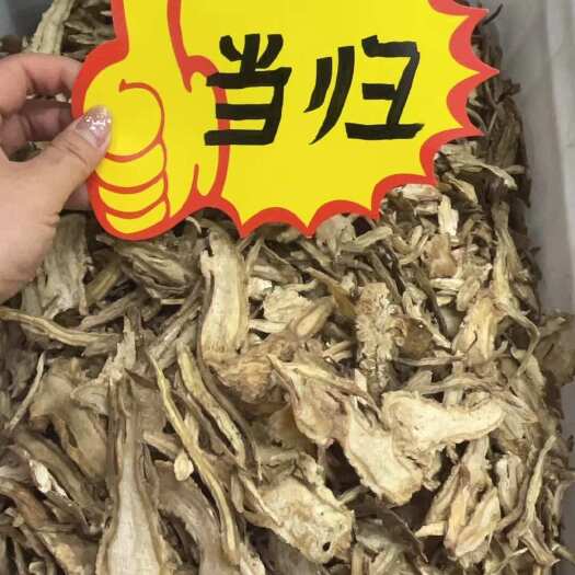 成都当归片