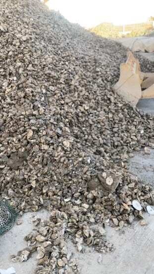 荣成市产自乳山本地牡蛎壳，高压清洗无杂质，用量大有想象不到的优惠。
