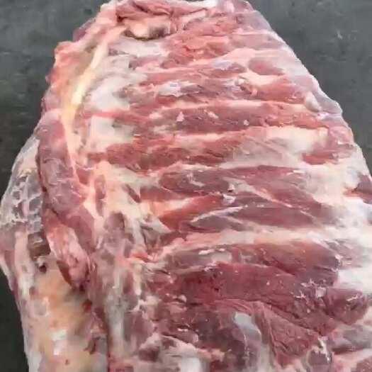 母猪大肋排，单片10斤左右