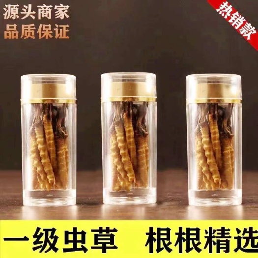 长沙2024头期虫草正品甘孜冬虫夏草正宗虫草小瓶装