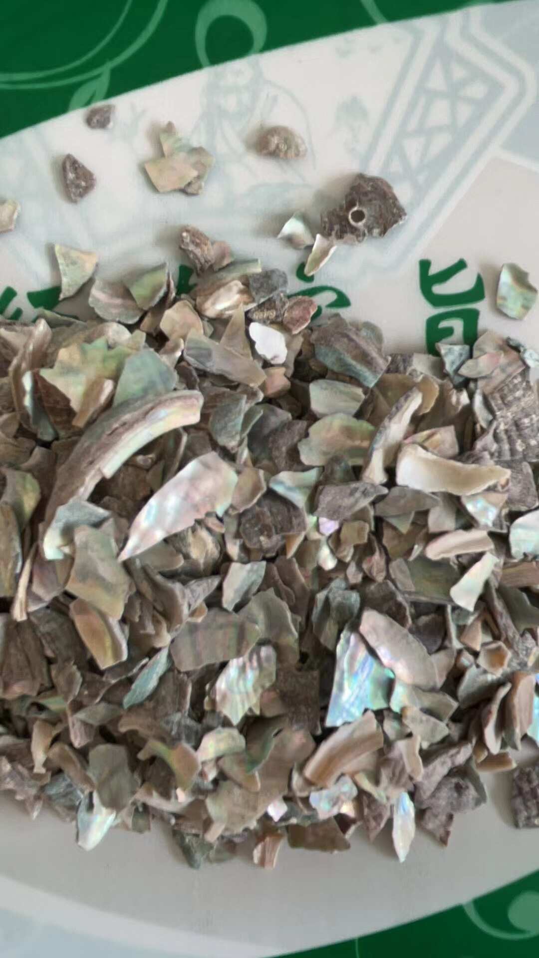 石决明 规格齐全 批发零售