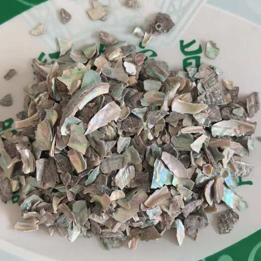 石决明 规格齐全 批发零售