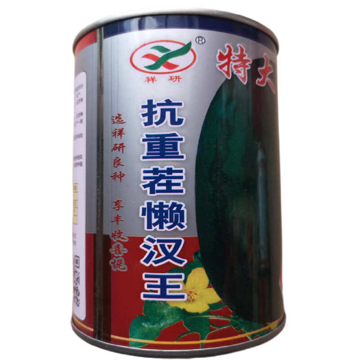 特大抗重茬懒汉王西瓜种子黑绿皮大红瓤西农八号西瓜沙漠蜜宝3号