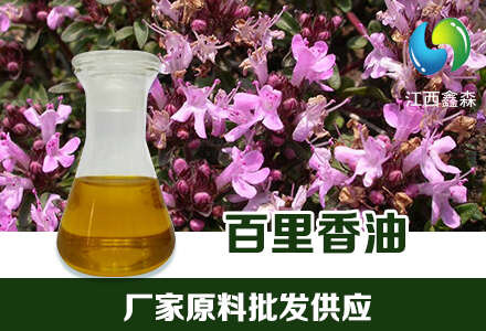 吉安百里香油植物提取挥发油含量99%
