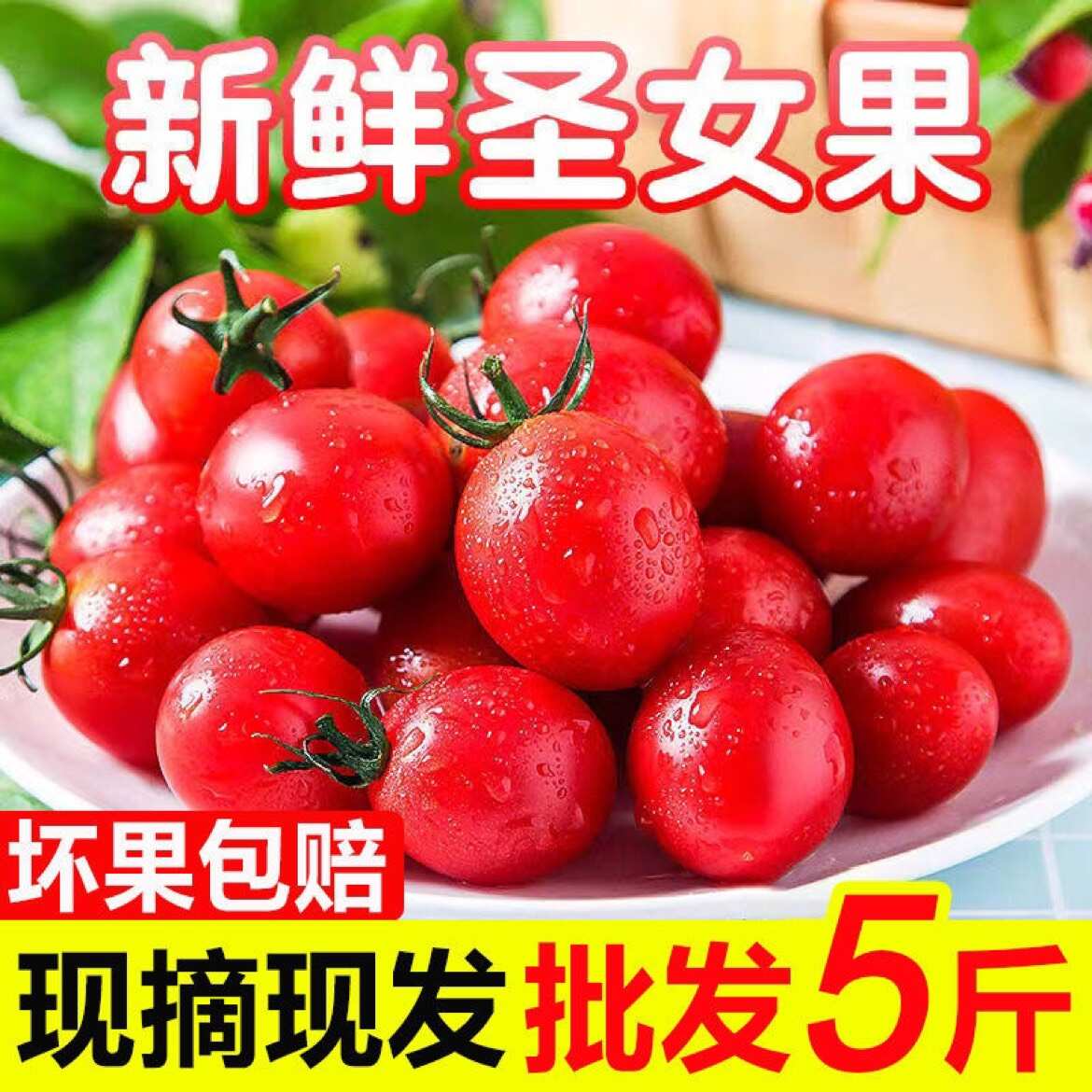 正中圣女果小番茄5斤小西红柿新鲜生吃应季水果批发非千禧果2斤