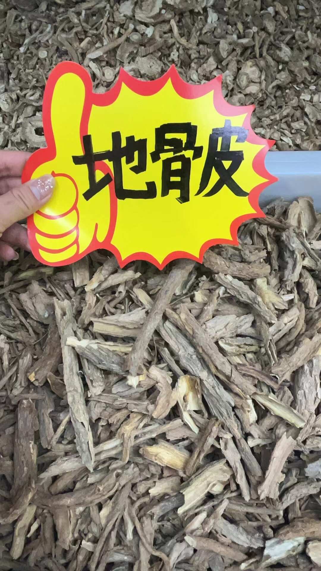 地骨皮