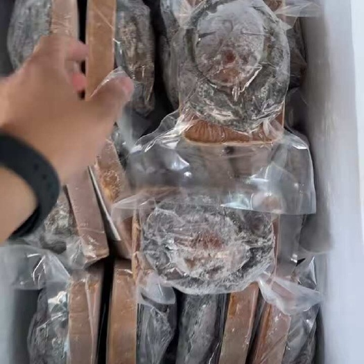 广州南非即食糖心2头