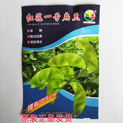 漯河红花一号扁豆种子，贴地结荚，早熟抗病，采收期长，耐热耐旱