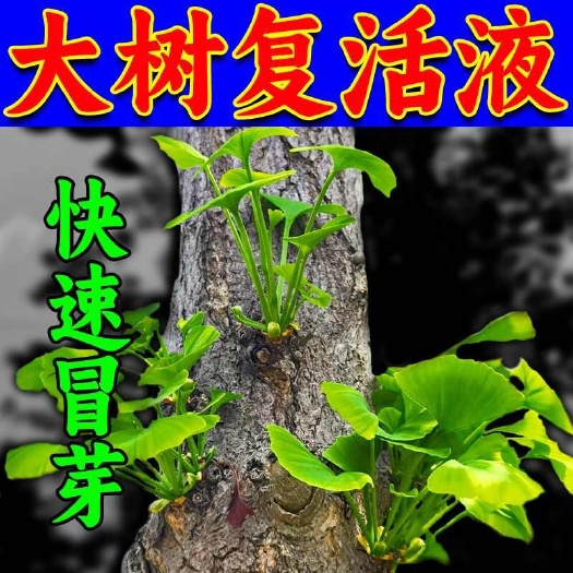 栾川县大树成活营养液快速生根复活液大树小苗移栽专用生根发芽剂生根粉