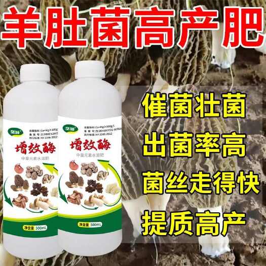 栾川县羊肚菌专用肥增效剂平菇香菇杏鲍金针菇催菇壮菇增产增效酶营养液